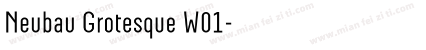 Neubau Grotesque W01字体转换